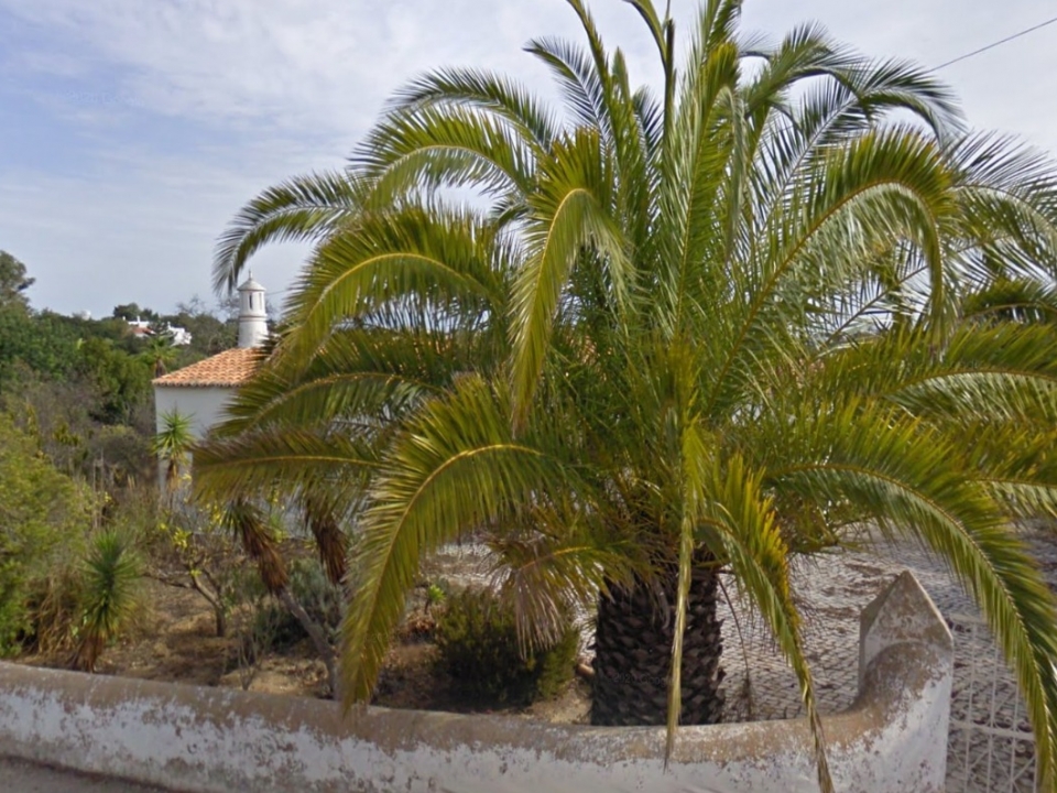 Turistic Development – Carvoeiro Gardens