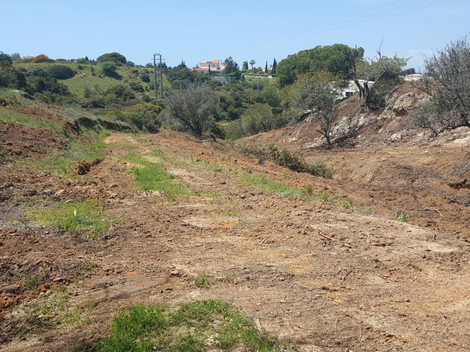 Urbanization Monte Servo II – New Allotment Area 