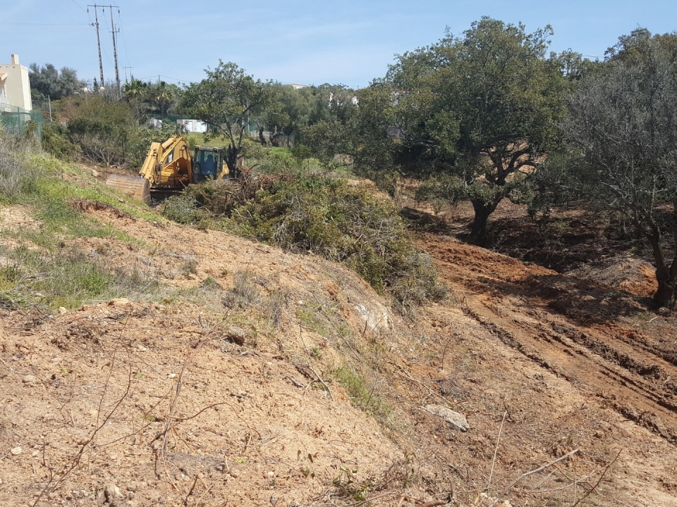 Urbanization Monte Servo II – New Allotment Area 