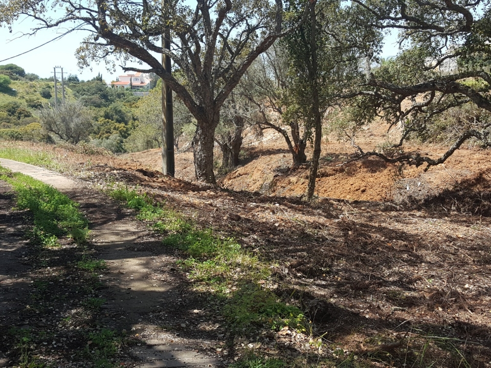 Urbanization Monte Servo II – New Allotment Area 