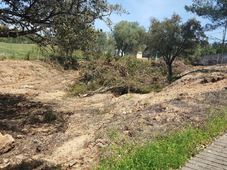 Urbanization Monte Servo II – New Allotment Area 